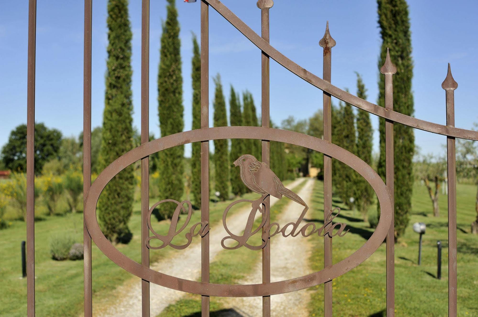 Agriturismo La Lodola Castelnuovo Berardenga Dış mekan fotoğraf
